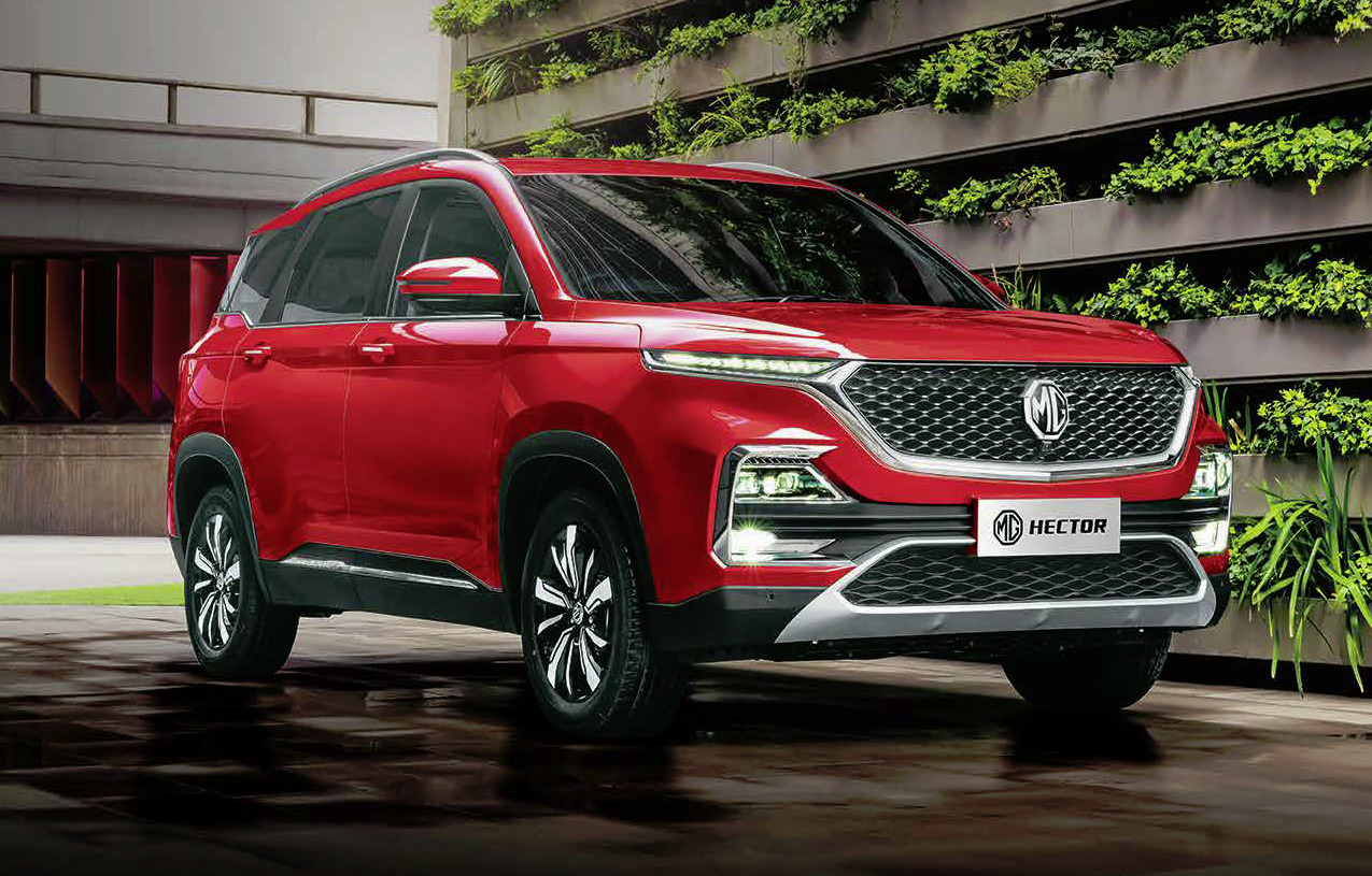 Mg  Hector