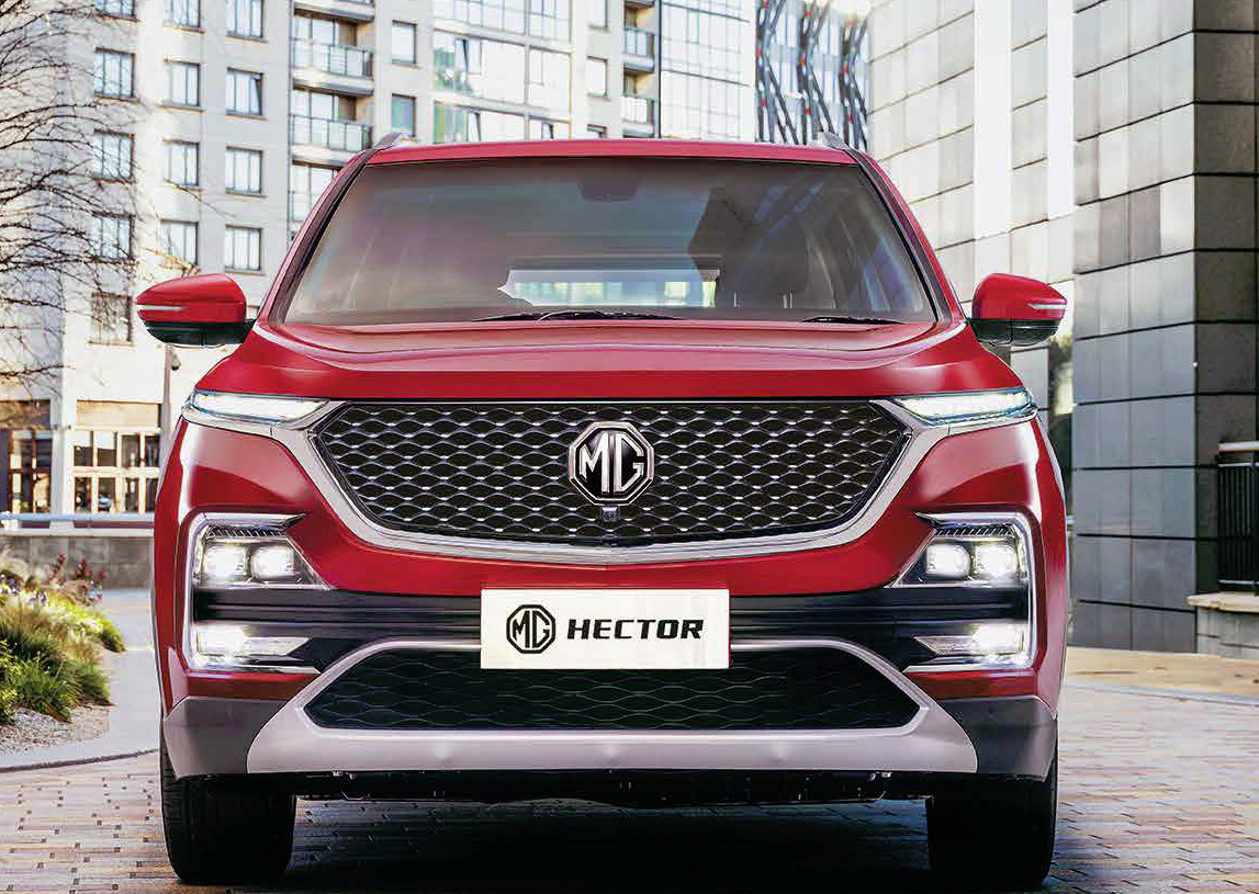 Mg  Hector