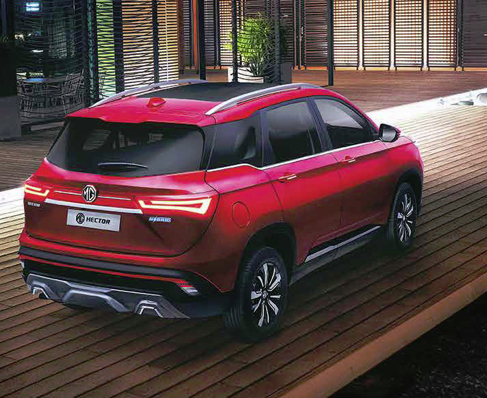 Mg  Hector