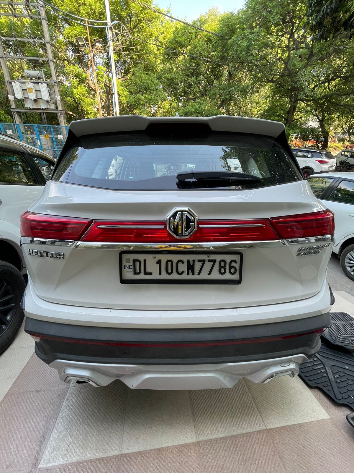 Mg  Hector