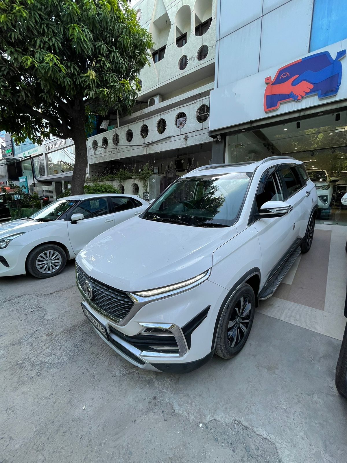 Mg  Hector