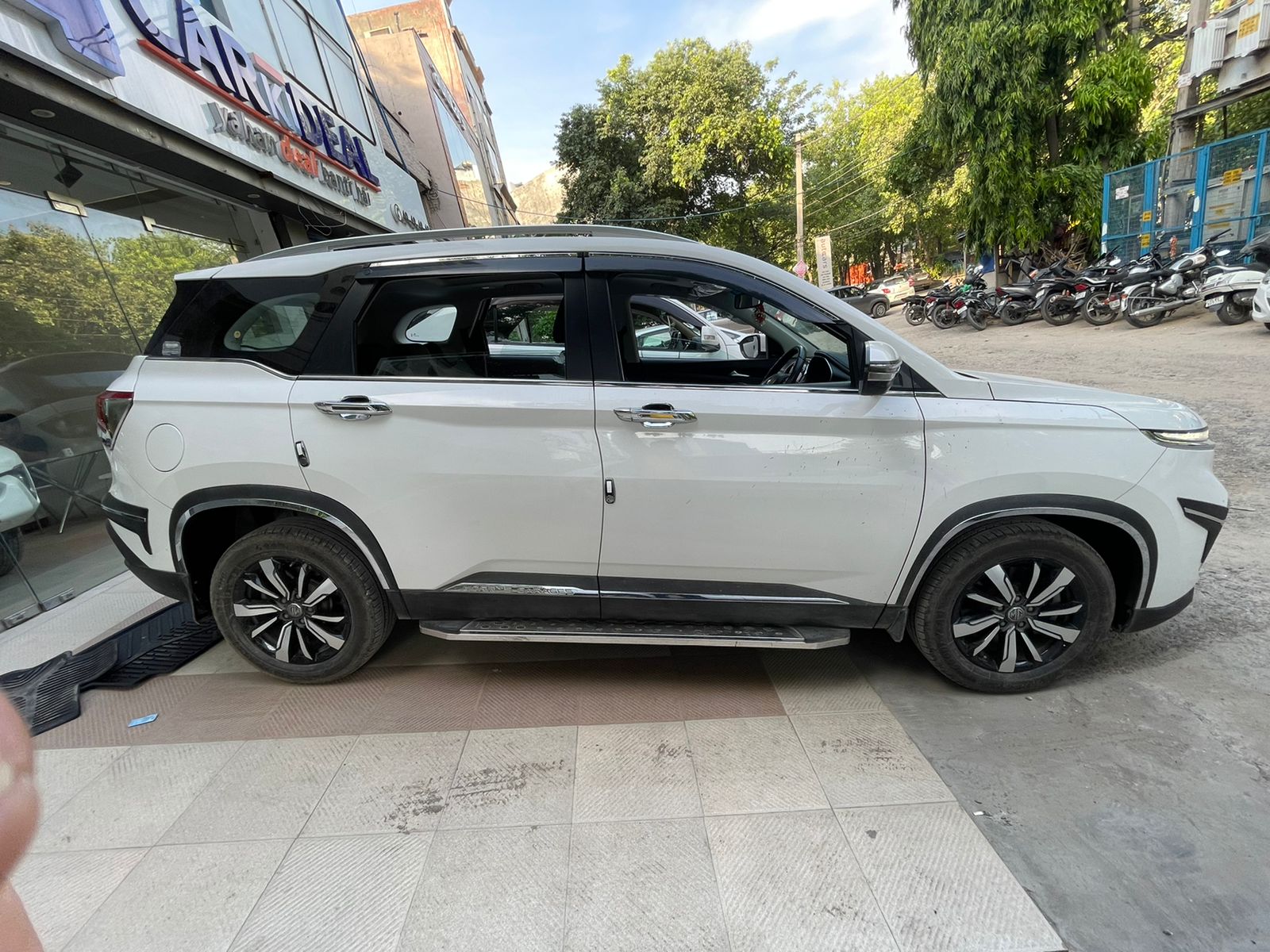 Mg  Hector